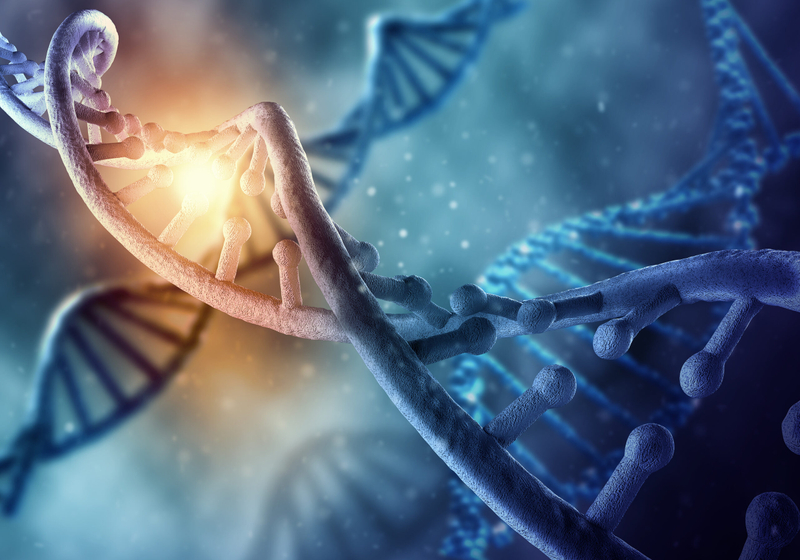 O que é DNA? Uma introdução à genética