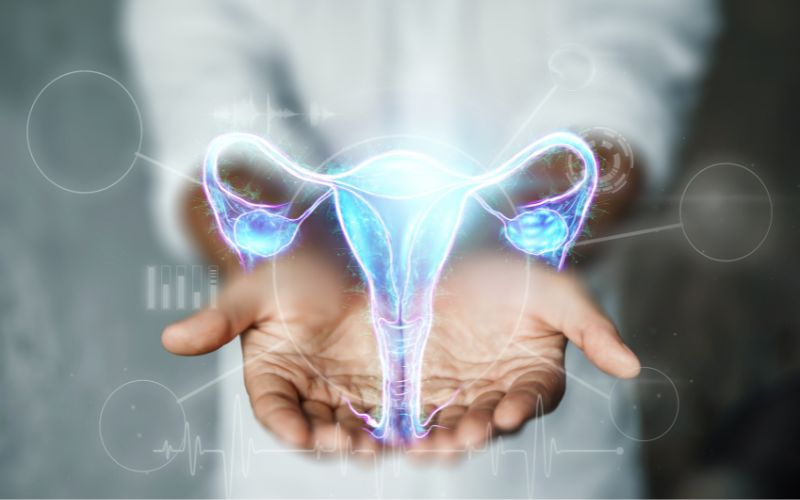 Análise Endometrial: Entenda a função do endométrio, sua espessura e o exame de avaliação 